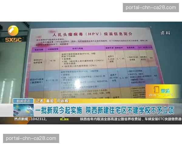技术委员会通过即时回放新规，旨在保护快攻反击效率免受误判干扰